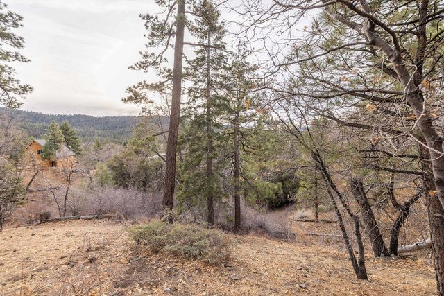 724 Menlo Drive, Big Bear, CA 92315