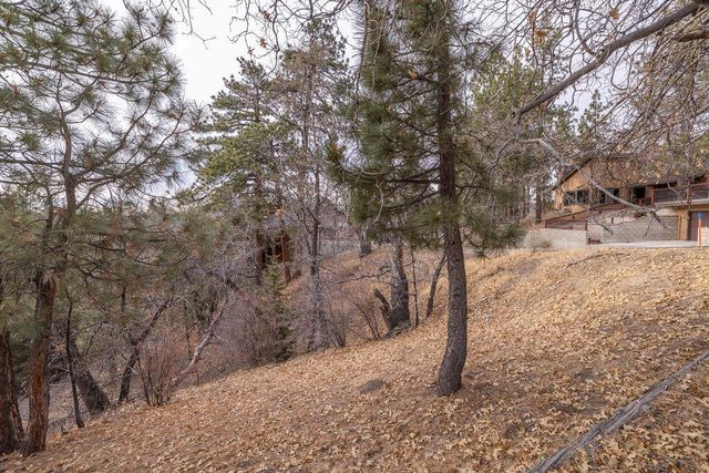 724 Menlo Drive, Big Bear, CA 92315