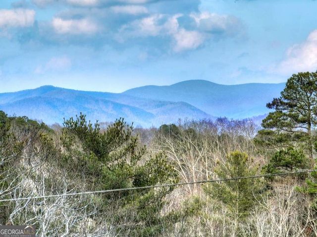 171 Mohawk Trail, Ellijay, GA 30540