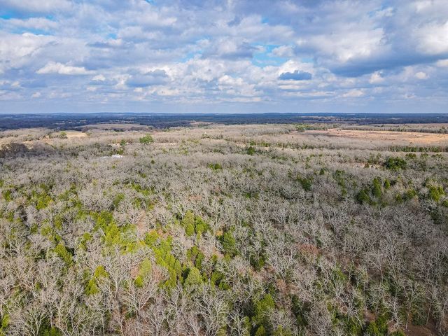 12802 Hidden Acres Road, Eustace, TX 75124