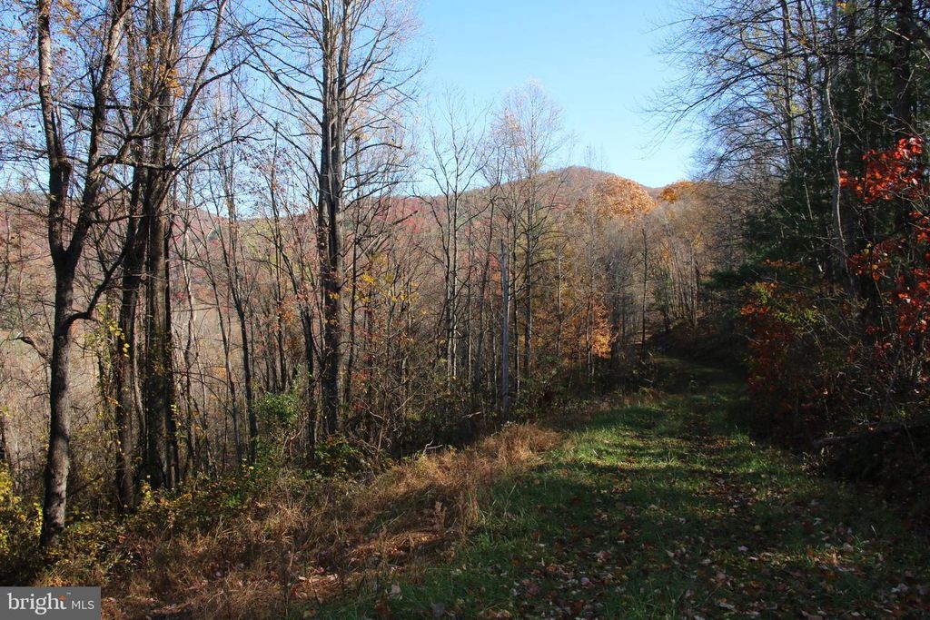 OVERLOOK MOUNTAIN RD, Elkton, VA 22827