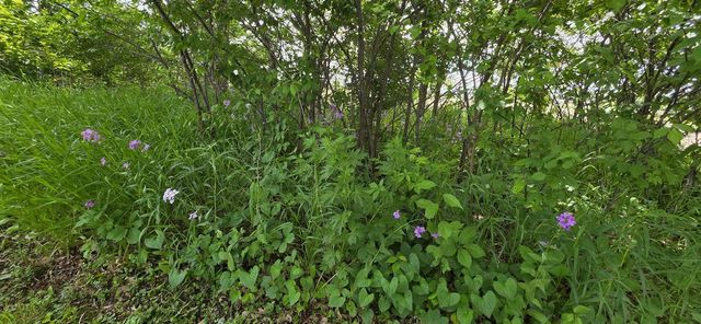 N5108 Highway 58, Mauston, WI 53948