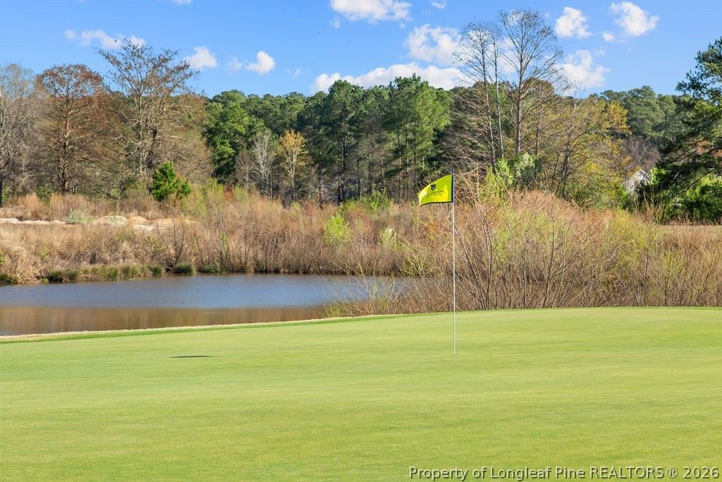 873 Castleberry Court, Vass, NC 28394 — photo 21