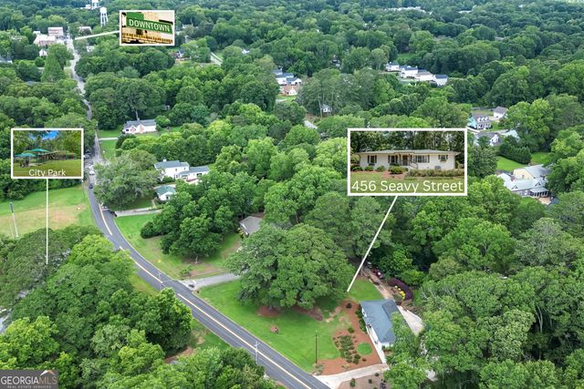 456 Seavy Street, Senoia, GA 30276
