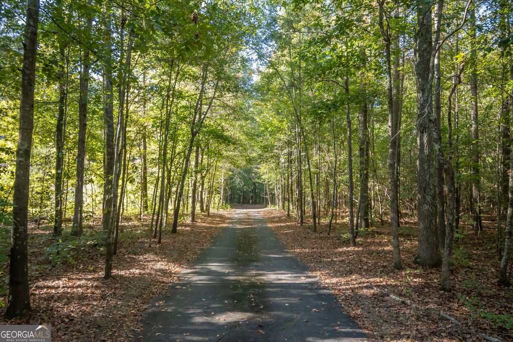 175 Windfall Drive, Winterville, GA 30683 — photo 2