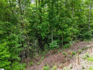 0 Bowater Pass, Fountain Inn, SC 29644