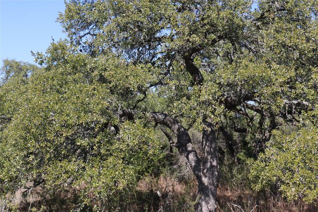 5688 Fm 2325, Wimberley, TX 78676