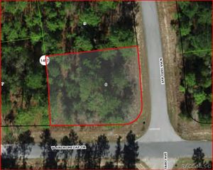 11016 N Mataro Avenue, Citrus Springs, FL 34434