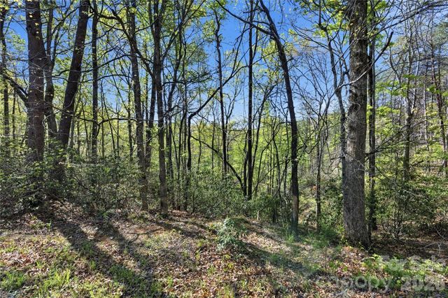 Lot 304 Sanderling Court 304, Lake Lure, NC 28746