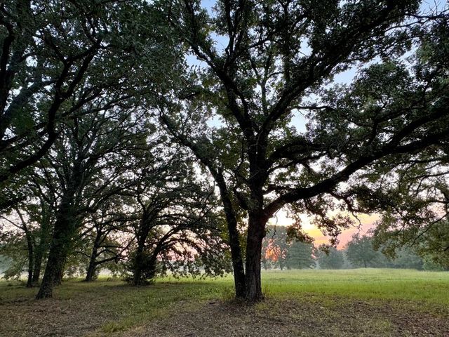 796 Vz County Road 1922, Fruitvale, TX 75127