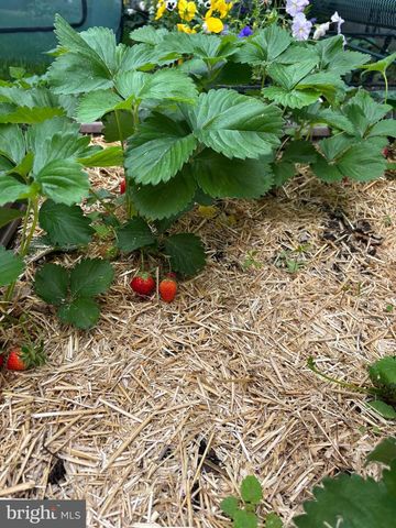 1627-29 W STILES ST, Philadelphia, PA 19121