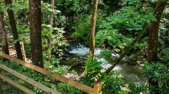 10323 OLD CCC CAMP ROAD Road, Ellijay, GA 30540