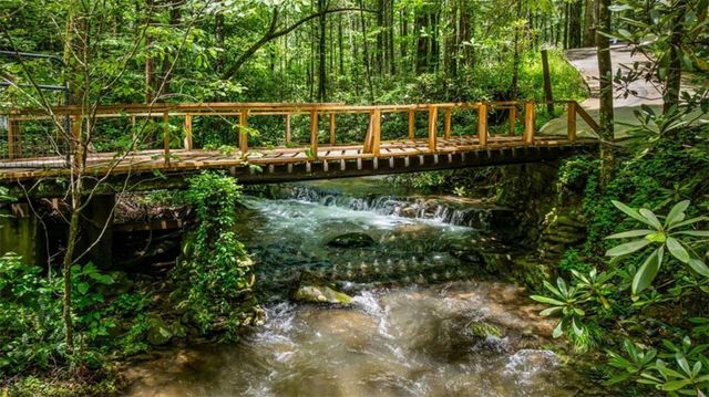 10323 OLD CCC CAMP ROAD Road, Ellijay, GA 30540