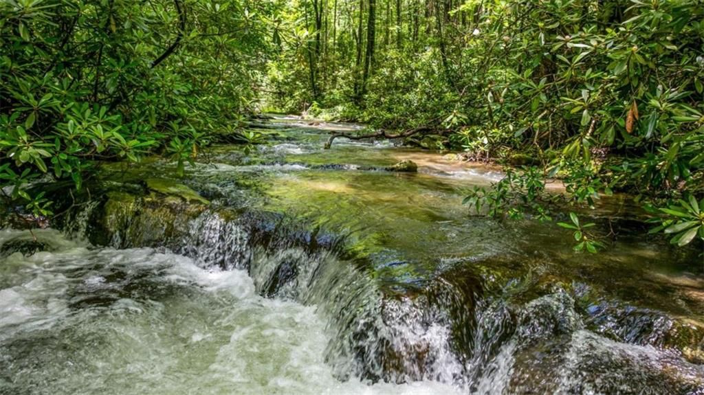 10323 OLD CCC CAMP ROAD Road, Ellijay, GA 30540