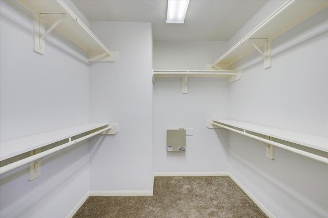 1161 Eden Park Lane, Houston, TX 77018