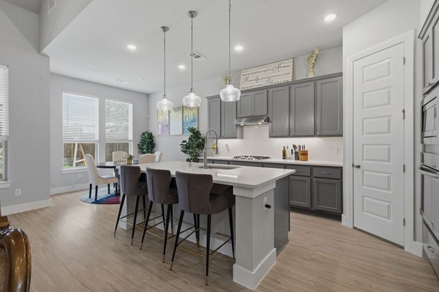 1704 Snowdrop Drive, Celina, TX 75078