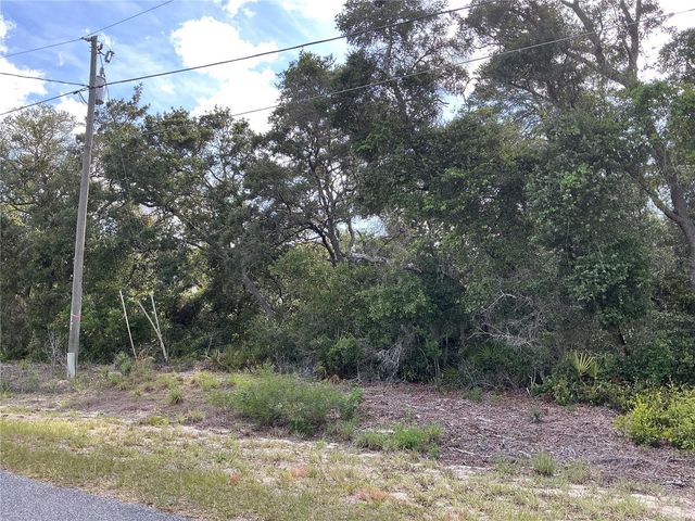 OLIVE ROAD, Ocala, FL 34472