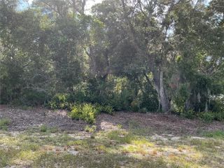OLIVE ROAD, Ocala, FL 34472