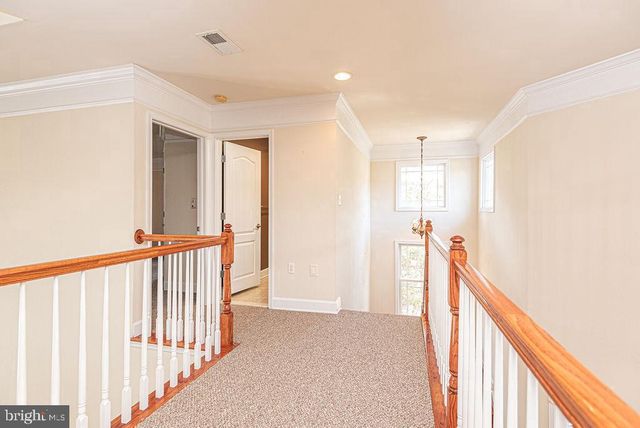 11834 MAN O WAR LN, Berlin, MD 21811