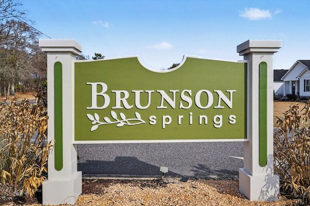 141 Penn Circle, Galivants Ferry, SC 29544