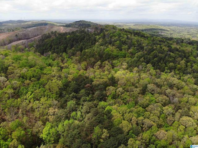 0 OLD SYLACAUGA HIGHWAY, Childersburg, AL 35044
