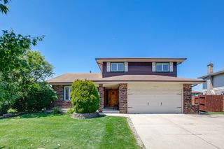 16624 Henry Lane, Tinley Park, IL 60477