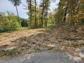 Lot #2 Routt Road, Wallingford, KY 41093
