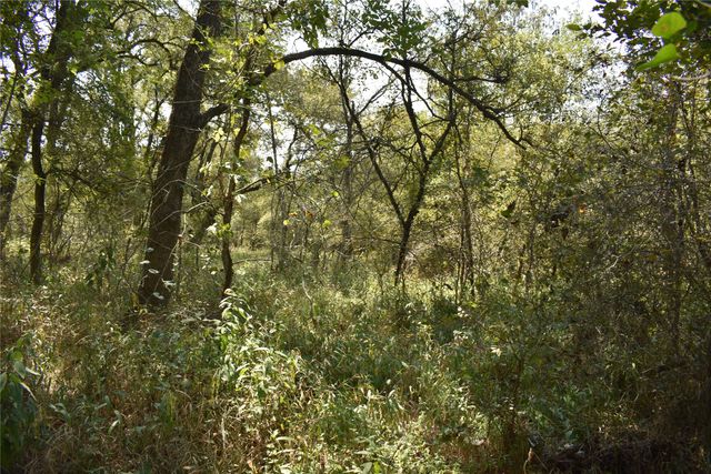 TBD39ac SW Co Rd 2340, Richland, TX 76681