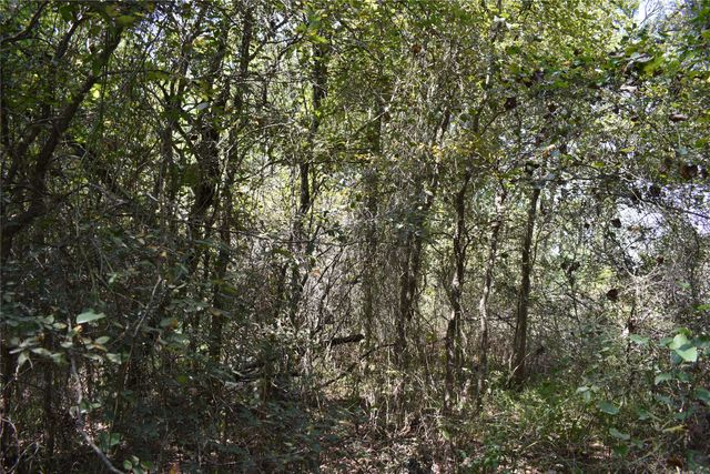 TBD39ac SW Co Rd 2340, Richland, TX 76681