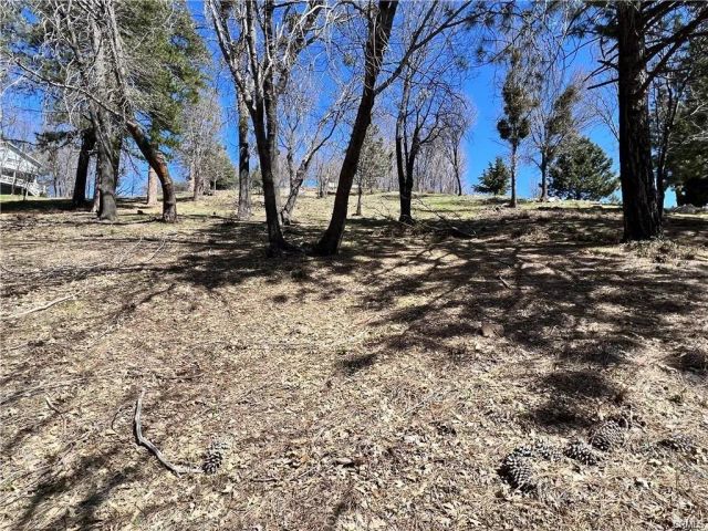41 Fredalba, Running Springs, CA 92382