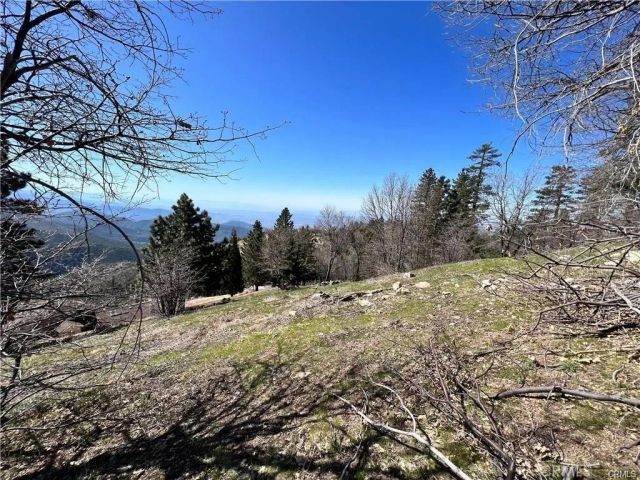 41 Fredalba, Running Springs, CA 92382