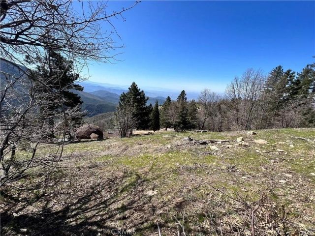 41 Fredalba, Running Springs, CA 92382