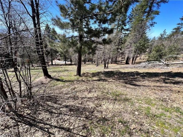 41 Fredalba, Running Springs, CA 92382