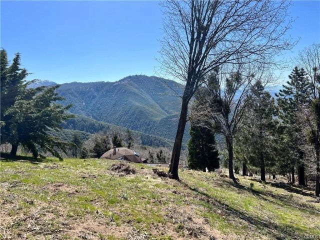 41 Fredalba, Running Springs, CA 92382