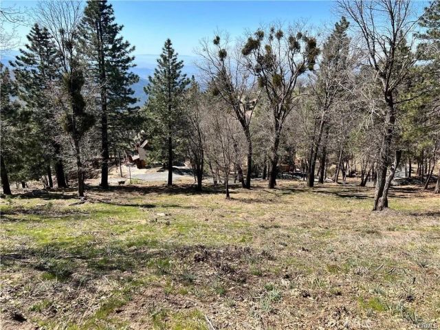 41 Fredalba, Running Springs, CA 92382