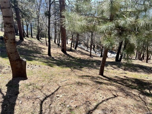 41 Fredalba, Running Springs, CA 92382