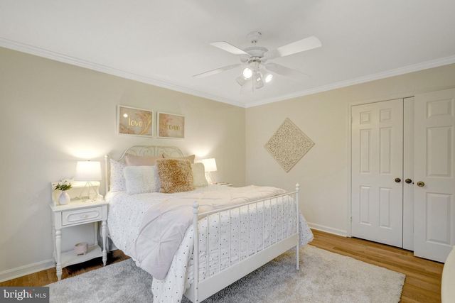 8224 STACEY RD, Alexandria, VA 22308