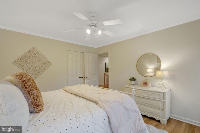 8224 STACEY RD, Alexandria, VA 22308