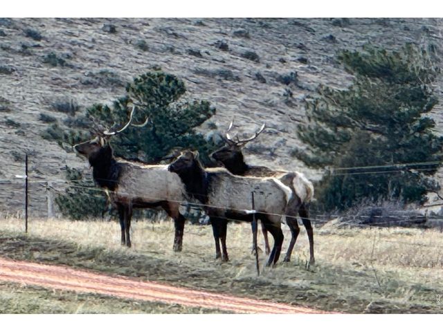 1114 & 1115 Vision Way, Lyons, CO 80540