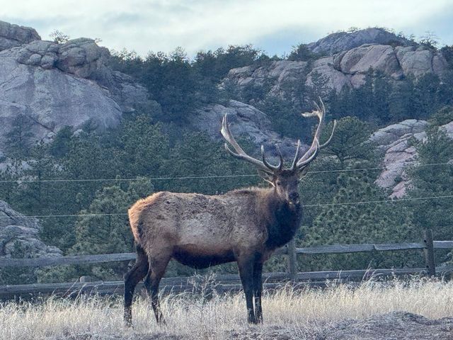 1114 & 1115 Vision Way, Lyons, CO 80540