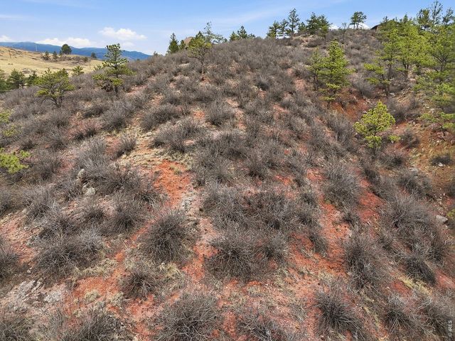 1114 & 1115 Vision Way, Lyons, CO 80540