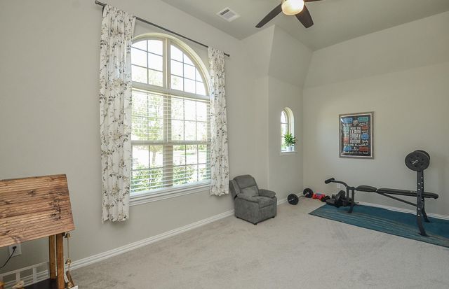 3711 Lake Falls Drive, Fulshear, TX 77441