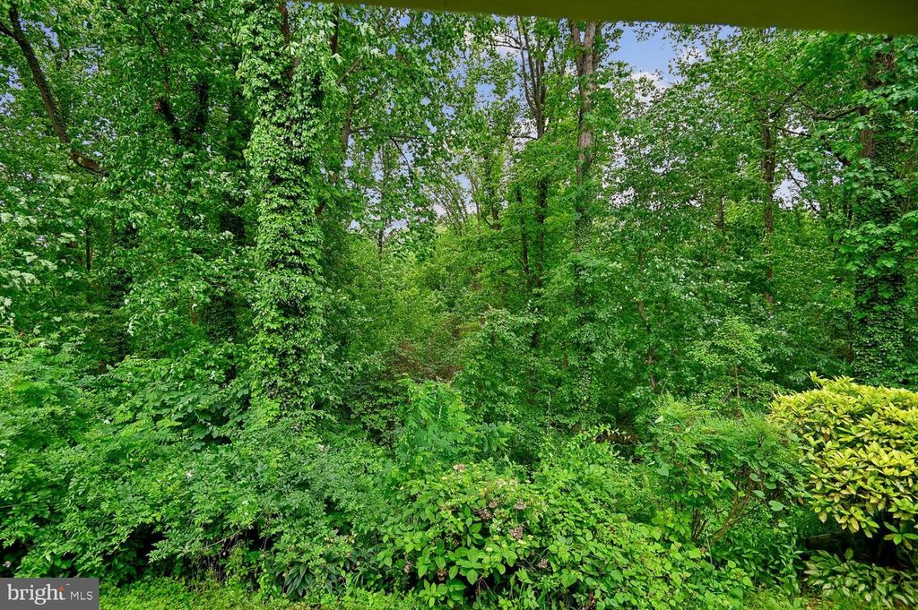 Image 55 of property listing at 553 BAY DALE CT, Arnold, MD 21012