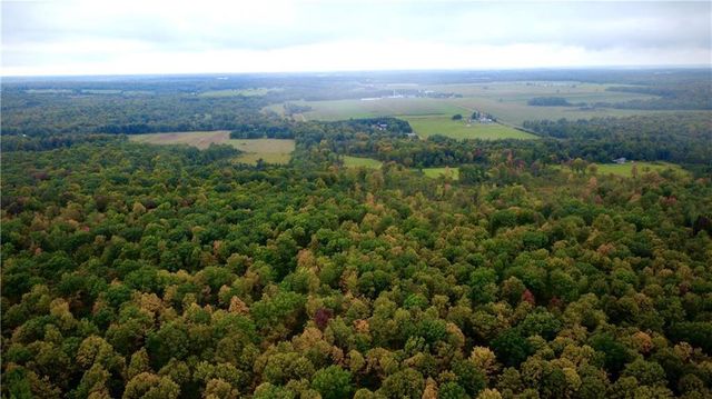 247125 Nehrbass Road, Athens, WI 54411