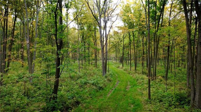 247125 Nehrbass Road, Athens, WI 54411