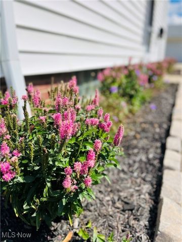 29448 Vinewood Drive, Wickliffe, OH 44092