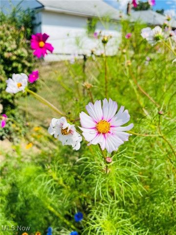 29448 Vinewood Drive, Wickliffe, OH 44092