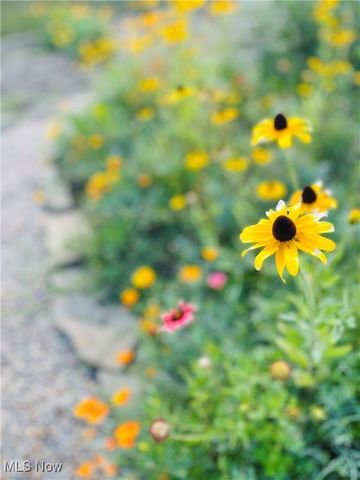 29448 Vinewood Drive, Wickliffe, OH 44092