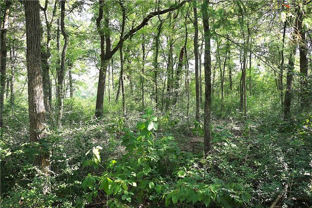 TBD Sawmill Road, Franklin, TX 77856