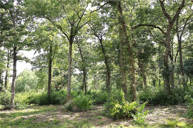 TBD Sawmill Road, Franklin, TX 77856